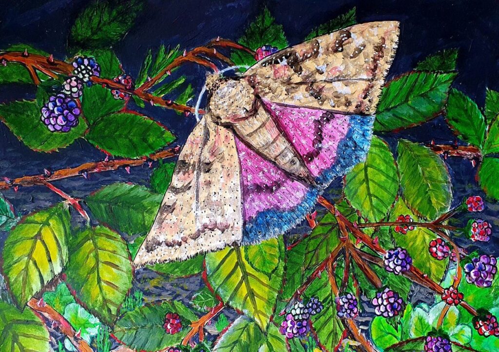 20211019 152007 1024x723