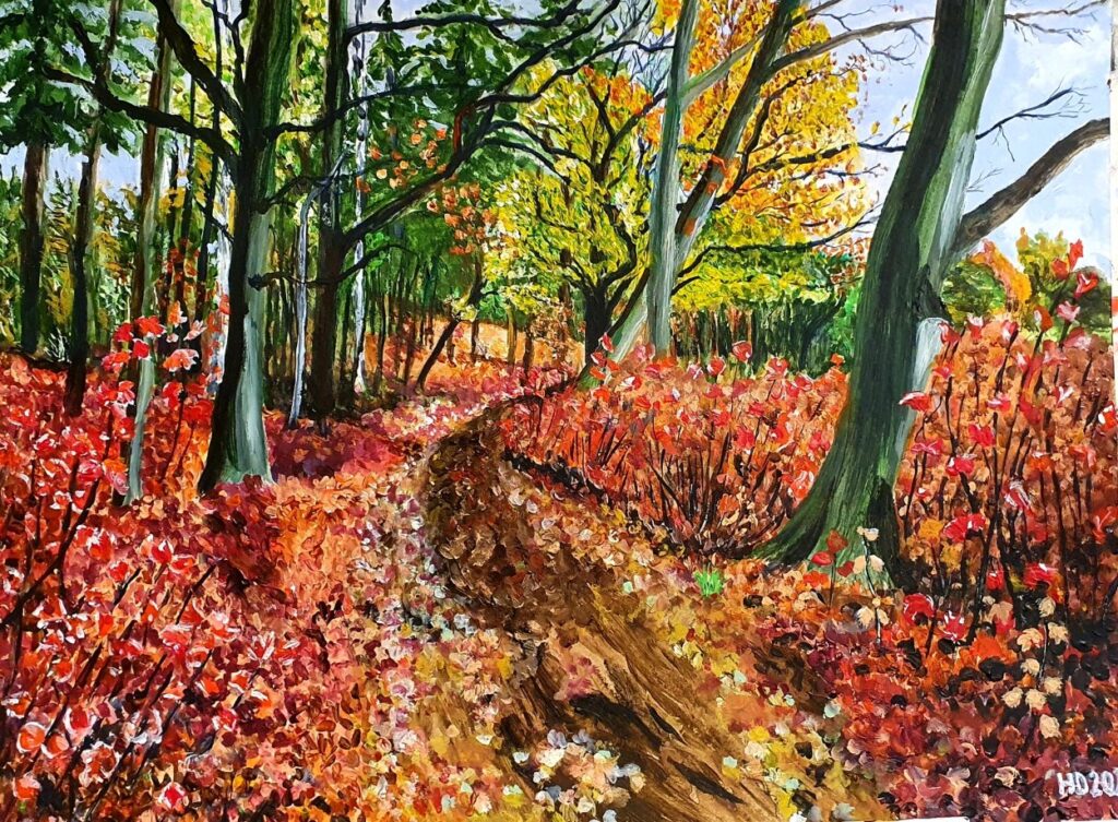 20211123 214418 1024x753