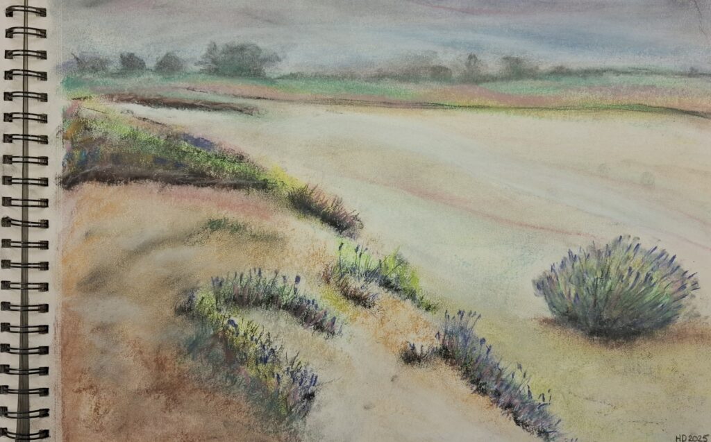 6633 6164�3adcim�2fkunstwerken�20t�26m�202026�2f20251117 212706