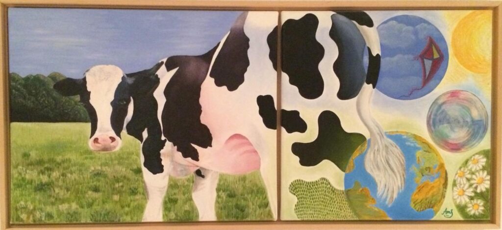 IMG 20241122 WA0002 1024x471