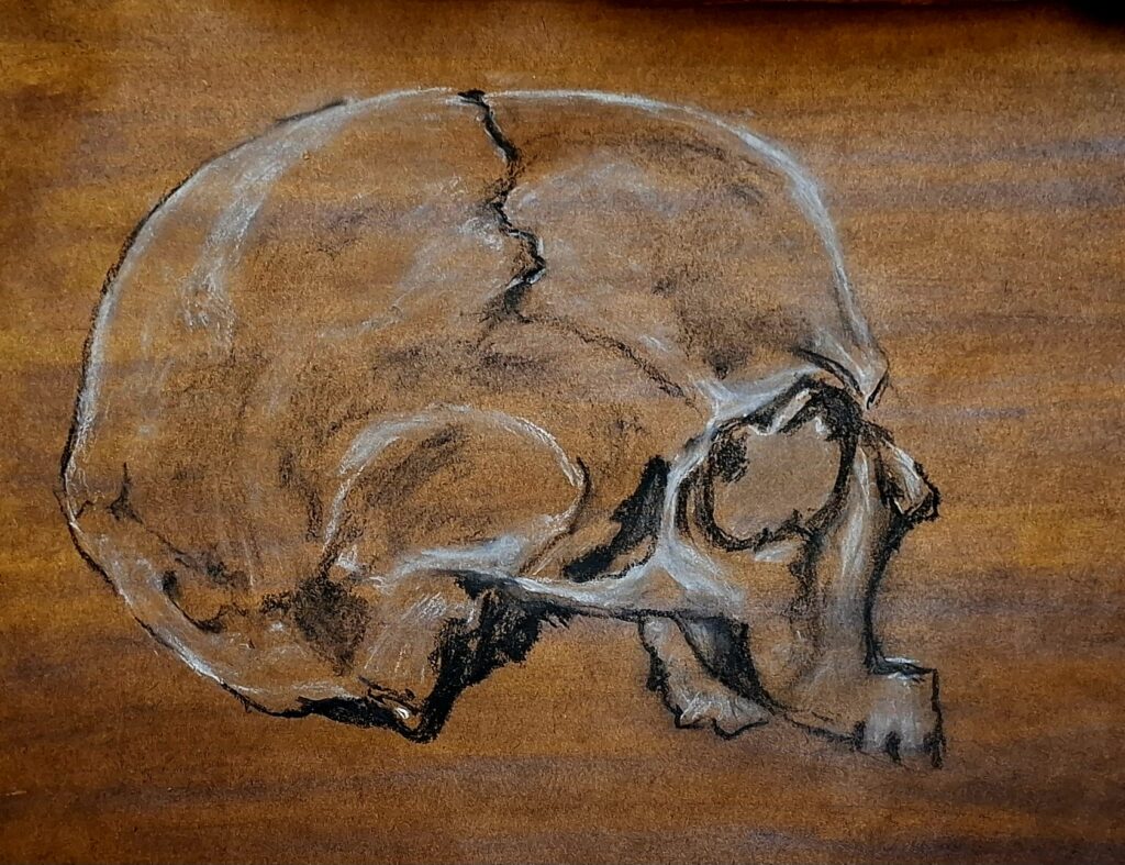 6633 6164�3adcim�2fkunstwerken�20t�26m�202026�2f20251201 215638